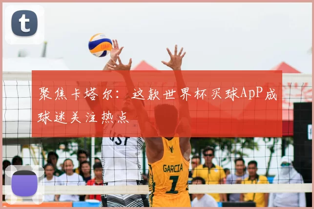 聚焦卡塔尔：这款世界杯买球ApP成球迷关注热点