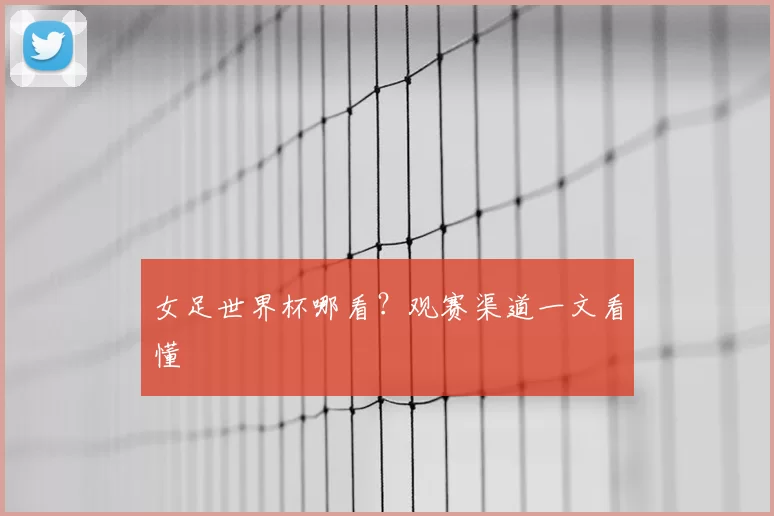 女足世界杯哪看？观赛渠道一文看懂
