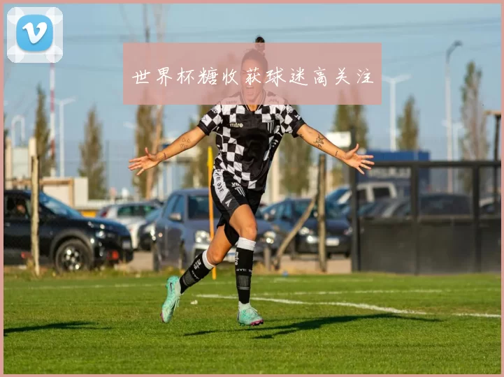 世界杯糖收获球迷高关注