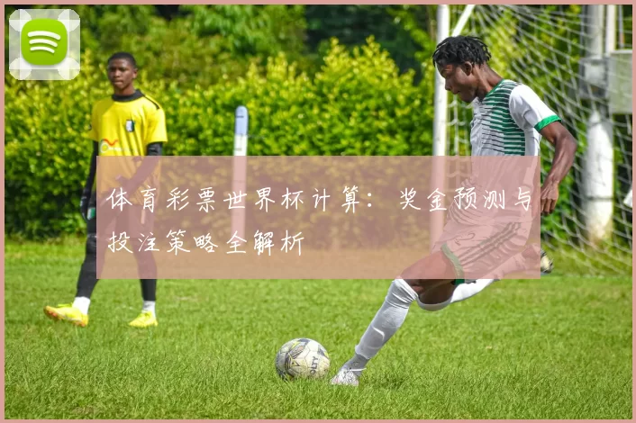 体育彩票世界杯计算：奖金预测与投注策略全解析