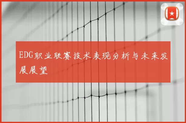 EDG职业联赛技术表现分析与未来发展展望