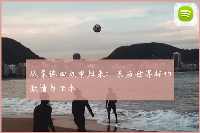 从录像回放中归来:亲历世界杯的激情与泪水