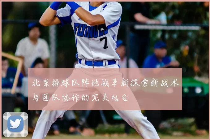 北京排球队阵地战革新探索新战术与团队协作的完美结合