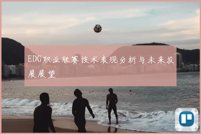 EDG职业联赛技术表现分析与未来发展展望